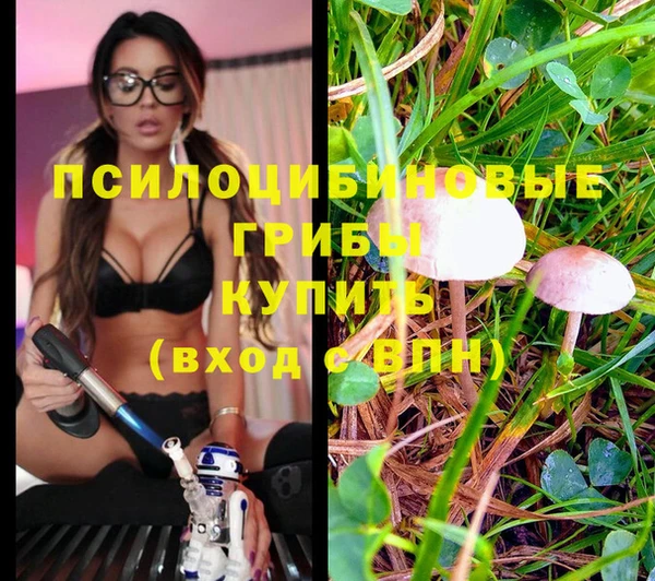 трава Алексин