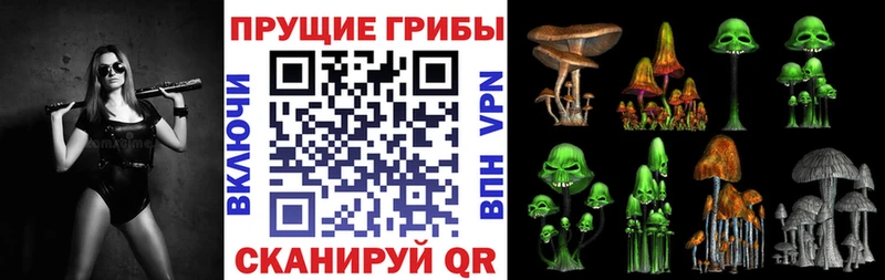 где купить наркоту Орлов Галлюциногенные грибы прущие грибы